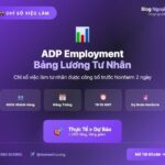 Tìm hiểu về Bảng lương ADP bảng lương ADP