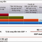 Cung Tiền và GDP