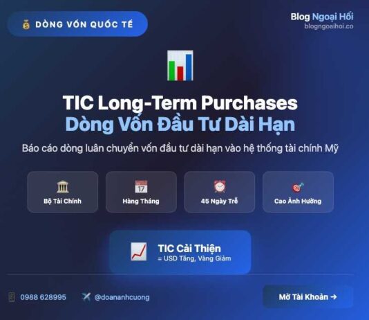 Tìm hiểu dữ liệu TIC Long-Term Purchases – Dòng vốn đầu tư dài hạn dòng vốn đầu tư dài hạn