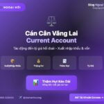 Cán cân vãng lai cán cân vãng lai