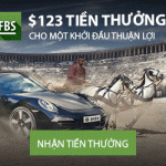 vn_chariot_300x250