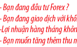 hoanphi