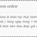 khoa-hoc-chien-binh-forex-thang-12