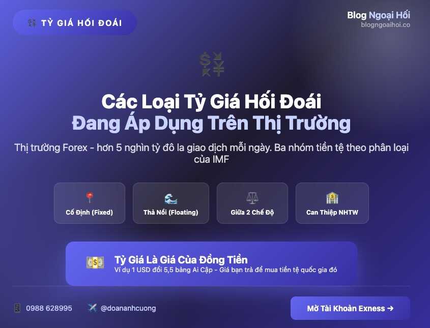 các loại tỷ giá hối đoái