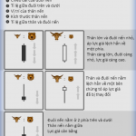 Quy luật 5-5 đọc dấu chân thị trường