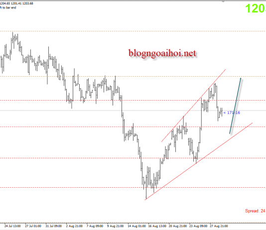 Vàng 29/8 – Vàng tìm hỗ trợ quanh mốc tâm lý 1200