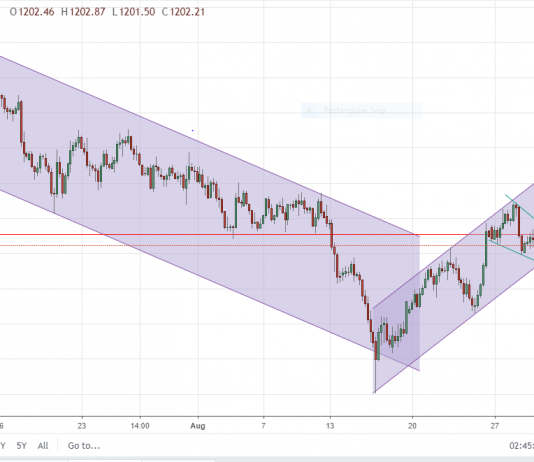 Vàng 31/8 – Vàng có khả năng biến động mạnh ngày đặc biệt
