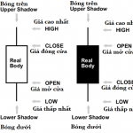 Biểu đồ nến Nhật là gì?