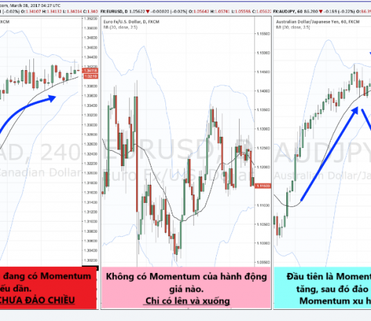 Momentum là gì ? Giao dịch Forex theo momentum