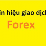 Tín hiệu giao dịch Forex ngày 26 tháng 1 Tín hiệu giao dịch Forex ngày 26 tháng 1