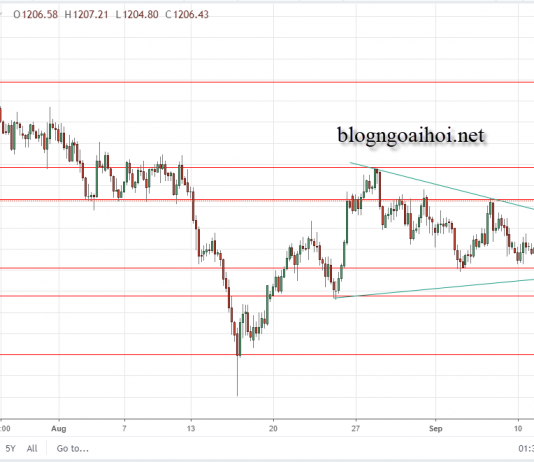 Vàng 13/9 – Vàng nhiều dữ liệu cần chú ý