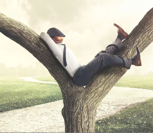 Trader thành công thích chờ đợi