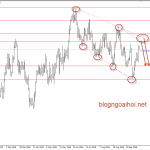 USDCAD 11/10- USDCAD kỳ vọng giảm điểm