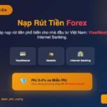 Đầu tư Forex nên sử dụng phương thức nạp rút tiền nào? nạp rút tiền forex