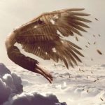 Thiên nga đen càn quét thị trường Forex sáng nay