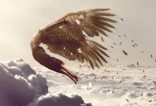 Thiên nga đen càn quét thị trường Forex sáng nay