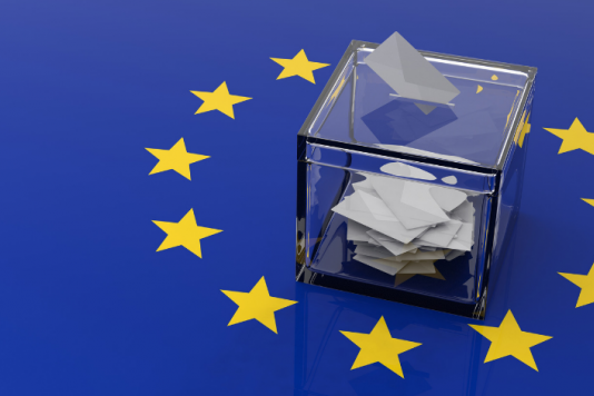Kết quả bầu cử nghị viện Châu Âu