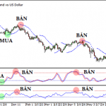 Chỉ báo tín hiệu Forex-Chỉ báo nhanh và chỉ báo chậm