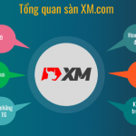 XM Review-Lý do bạn nên giao dịch ở XM