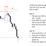 Các mẫu nến quan trọng trong Price action Phần 1