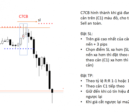 Các mẫu nến quan trọng trong Price action Phần 1