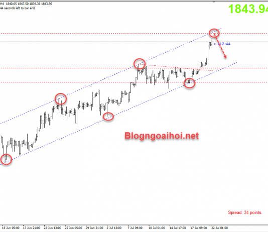 Vàng 22/7-Vàng sắp “TOANG”