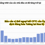 Vị thế bán ròng bằng USD tăng trở lại