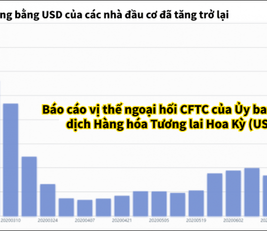 Vị thế bán ròng bằng USD tăng trở lại