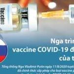 Vắc xin COVID-19 của Nga có an toàn ?