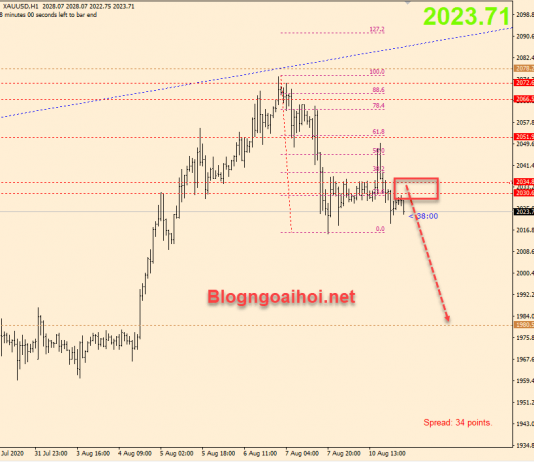 Vàng 11/8-Sự điều chỉnh của Vàng đang diễn ra