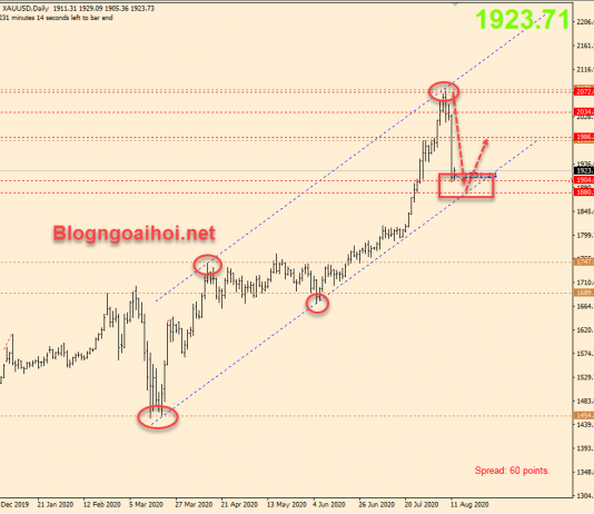 Vàng 12/8-Vàng bị bán tháo và sự xuất hiện của Vắc xin COVID-19