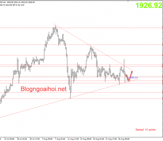 Vàng 28/8-Cuộc “Tàn Sát” chưa kết thúc