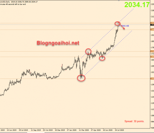 Vàng 5/8-Vàng đã liên tục đạt mức cao kỷ lục
