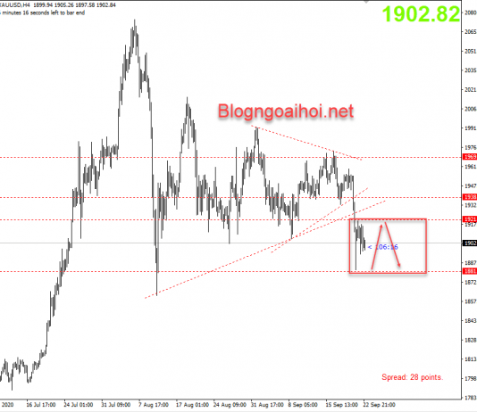 Vàng 23/9-Tiền mặt là vua trong môi trường hiện tại