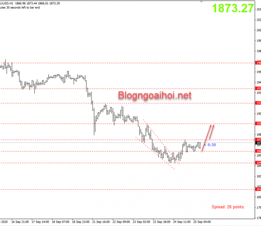 Vàng 25/9-Vàng có nhiều cơ hội bức phá