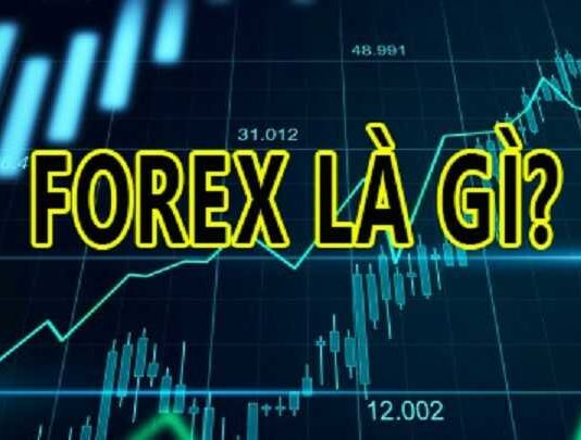 Bài 1: Để trở thành một nhà đầu tư forex cần phải làm gì?