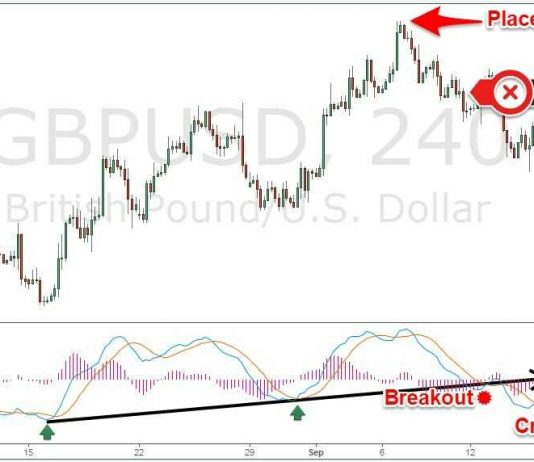 Bí kíp giao dịch theo xu hướng cực đơn giản chỉ dựa vào tín hiệu giao cắt trên MACD