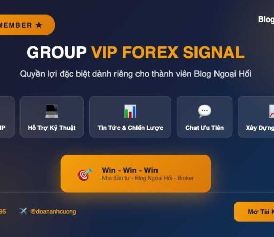 Hỗ trợ tham gia group “VIP FOREX SIGNAL” Group vip forex signal