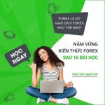 hoc-vien-forex-banner-2_optimized
