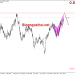 nzd-cad-11-11_optimized