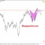 nzd-cad-9-11_optimized