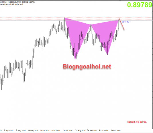 NZDCAD 11/11-Sau quyết định lãi suất của RBNZ