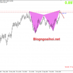 nzdcad-13-11-giam_optimized