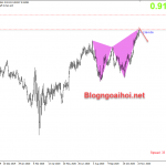 nzdcad-26-11_optimized
