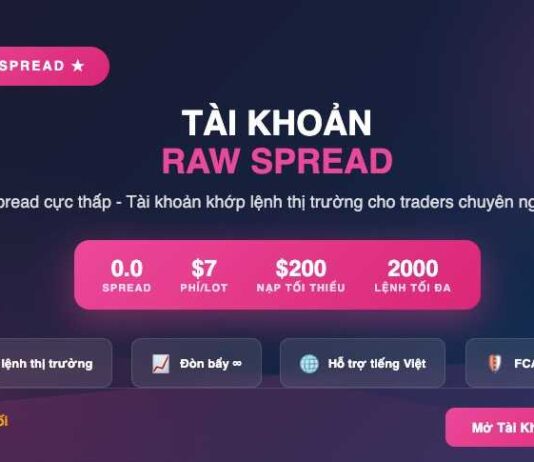 Tìm hiểu Tài khoản Raw Spread sàn Exness Tài khoản raw spread exness