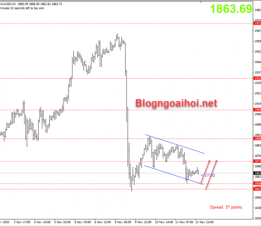 Vàng 12/11-Phục hồi ngắn
