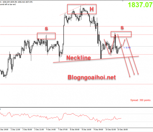 Vàng 11/12-Vàng bị chặn tại kháng cự 1850 Vàng 11/12 Mô hình vai đầu vai