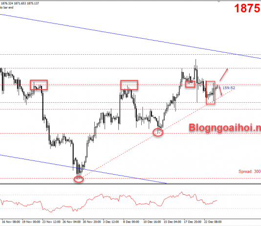 Vàng 24/12-Giáng sinh có thể gây bất ngờ lớn Vàng 24/12-giáng sinh đến rồi
