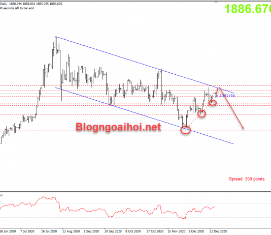 Vàng 28/12-Mở đường xu hướng tăng trong ngày Vàng 28/12-Mở đường tăng giá