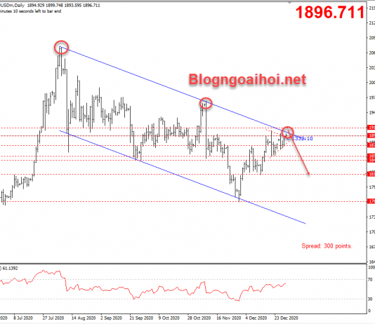Vàng 31/12-Ngày giao dịch cuối cùng của năm 2020 Vàng 31/12-Kết thúc năm 2020